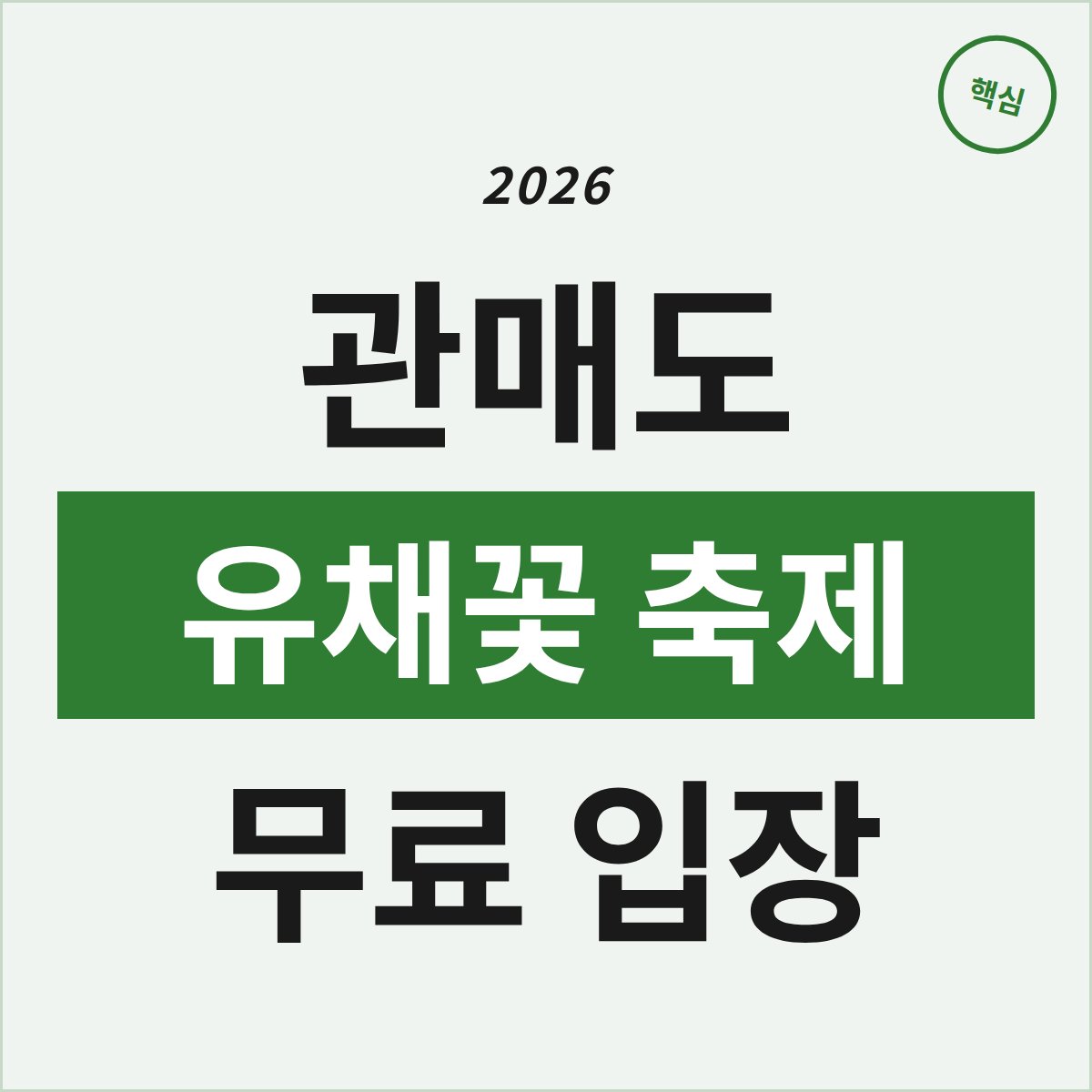 진도 관매도 유채꽃 축제, 무료 입장에 숨은 매력은?