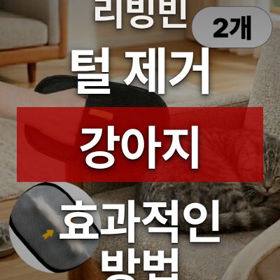 강아지 털 제거 방법, 리빙빈 털제거 장갑이 답입니다