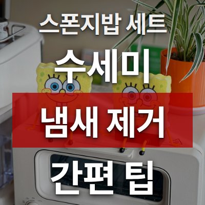 수세미 냄새 제거 걱정 끝 (스폰지밥 세트)