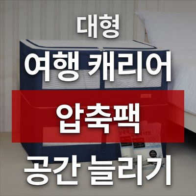 여행 캐리어 공간 늘리는 압축팩+정리함 2세트 (대형)