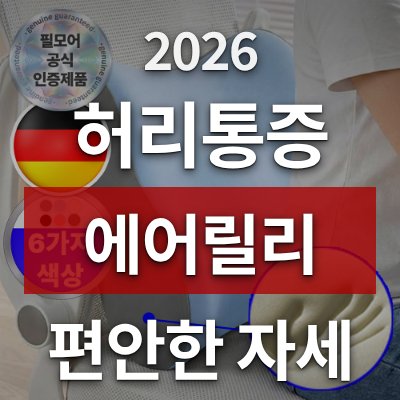 장시간 컴퓨터 작업 허리통증, 에어릴리 쿠션이 답입니다