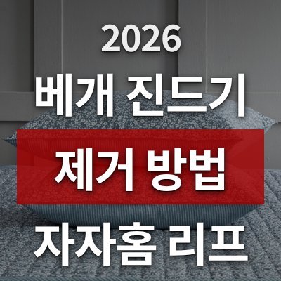 베개 진드기 제거 방법, 자자홈 리프 쎄미플러스가 답입니다