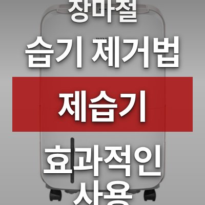 장마철 습기 제거법, 뽀송 제습기가 답입니다 (12L)