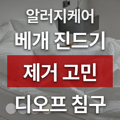 베개 진드기 제거 고민, 디오프 침구세트가 답입니다(알러지케어)